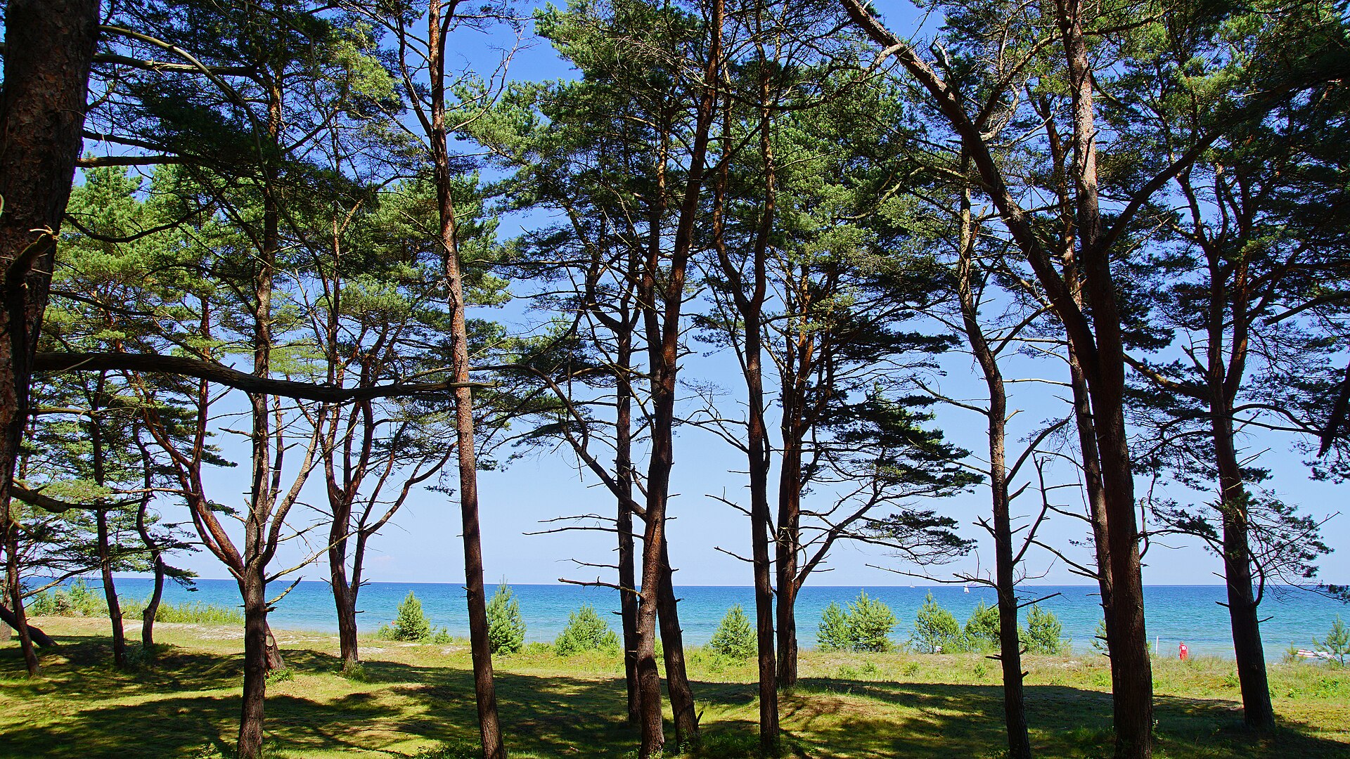 Rügen impression