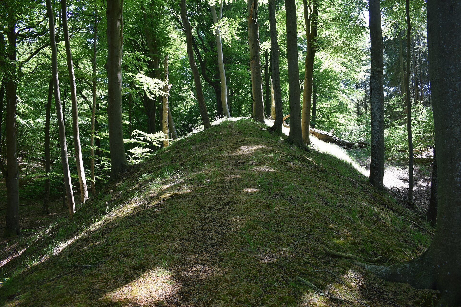 Wall auf der Halbinsel Thiessow